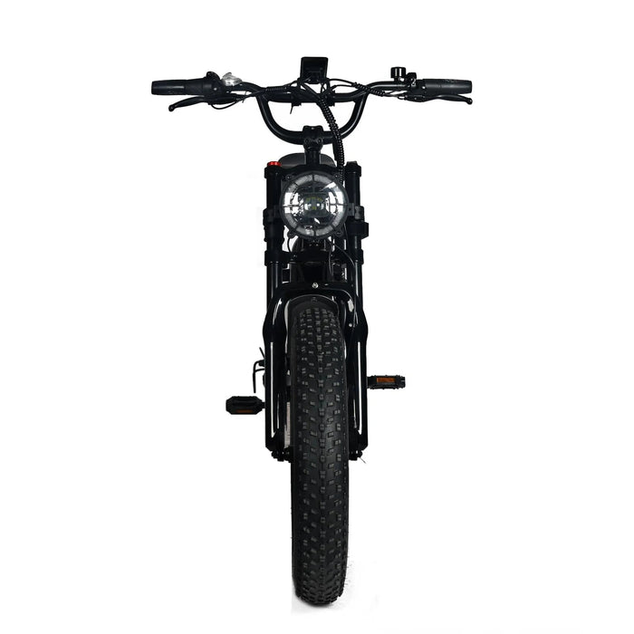 Electric Mountain Bike for Adults | 20 x 4.0 Fat Tires, 1000W Motor, 48V 20Ah Removable Battery, Max Speed 45MPH, Shi Mano 7-Speed for Off-Road Adventures